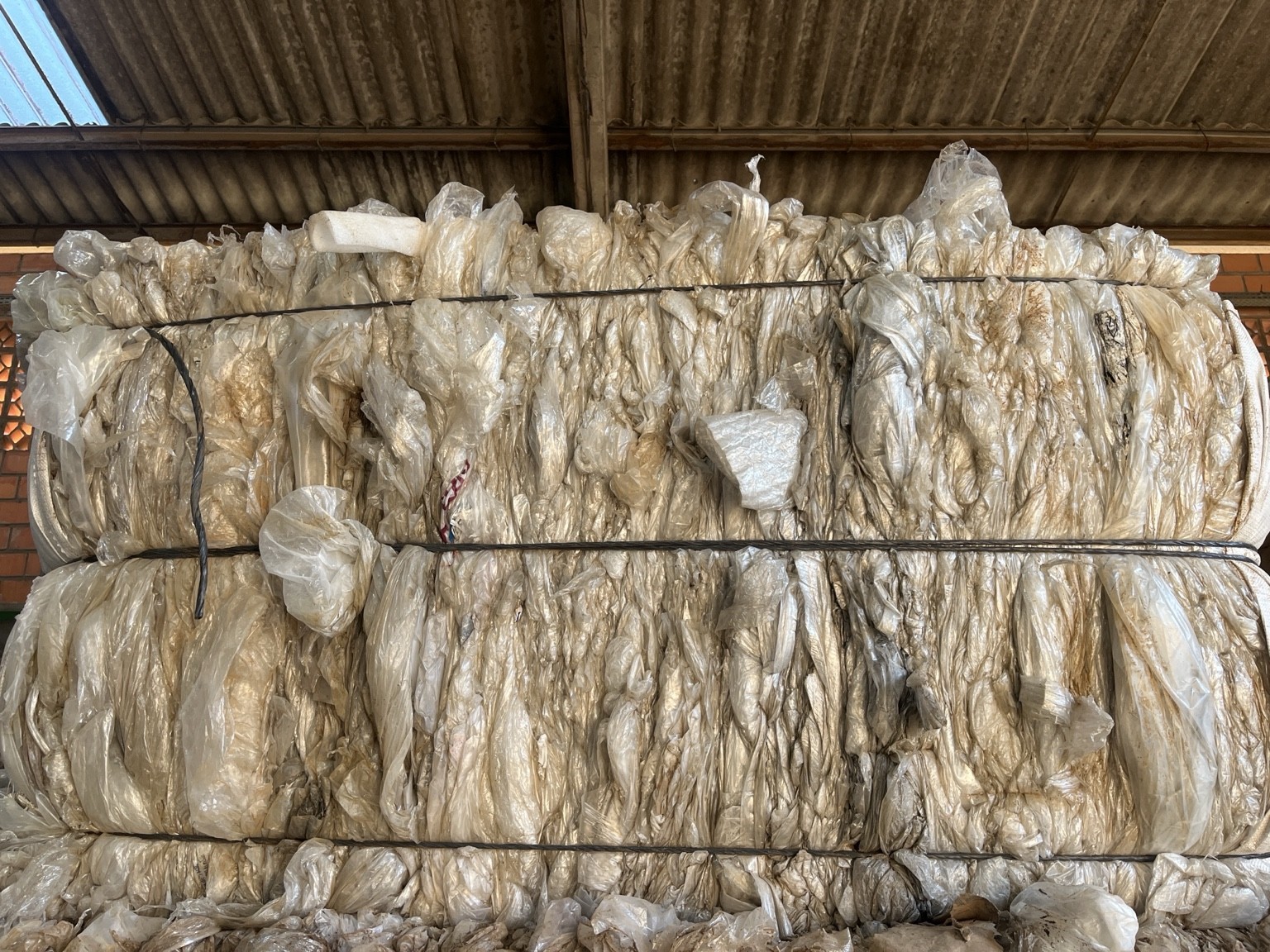 Família de plásticos flexíveis em PEBD